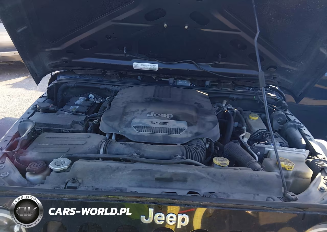 2016 Jeep Wrangler Unlimited Sport VIN:1C4BJWDG5GL303901 - 10
