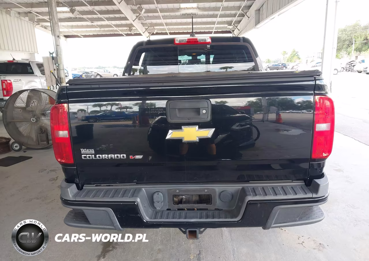 2017 Chevrolet Colorado Lt VIN:1GCGSCEN2H1174494 - 17