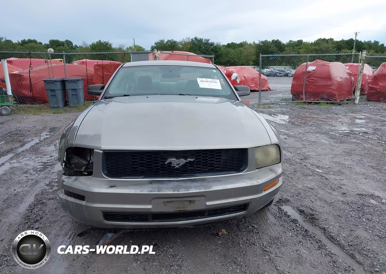 2008 Ford Mustang V6 Deluxe-V6 Premium VIN:1ZVHT80N085115228 - 13