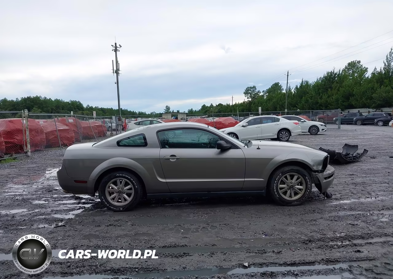 2008 Ford Mustang V6 Deluxe-V6 Premium VIN:1ZVHT80N085115228 - 14