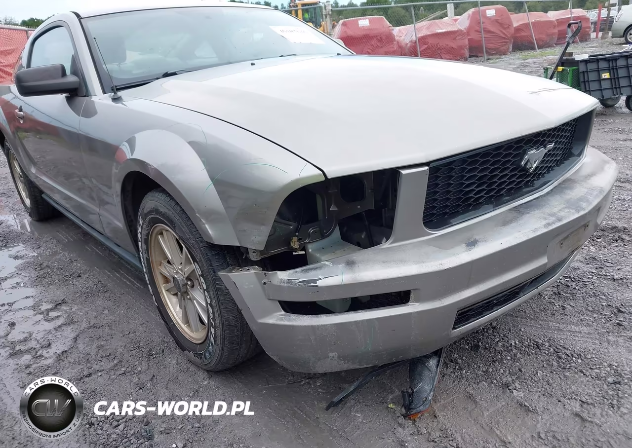 2008 Ford Mustang V6 Deluxe-V6 Premium VIN:1ZVHT80N085115228 - 6
