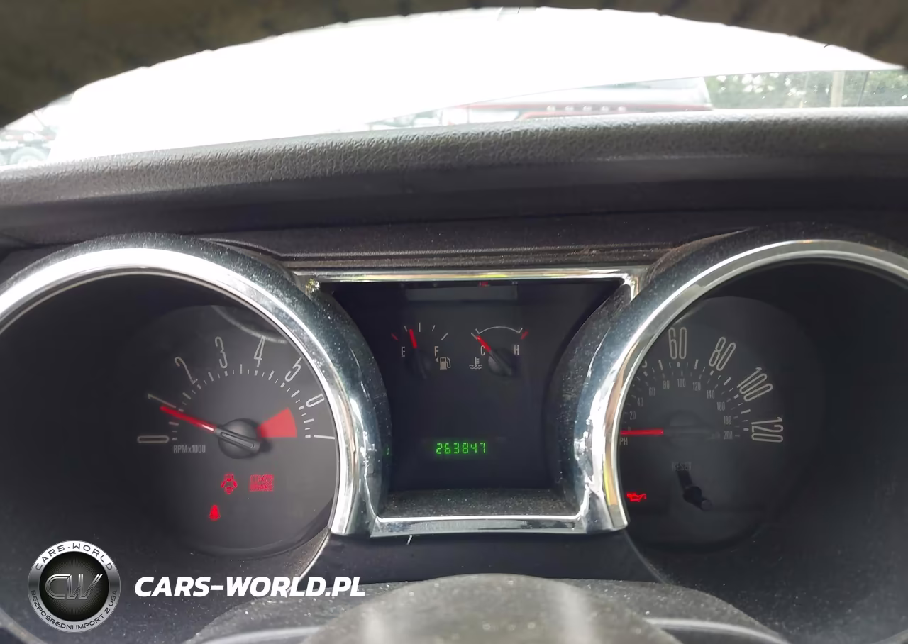 2008 Ford Mustang V6 Deluxe-V6 Premium VIN:1ZVHT80N085115228 - 7
