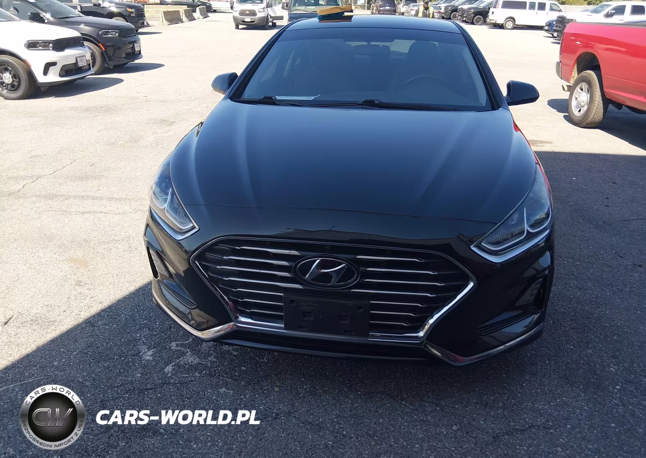 2018 Hyundai Sonata Eco VIN:5NPE24AA4JH691696 - 12