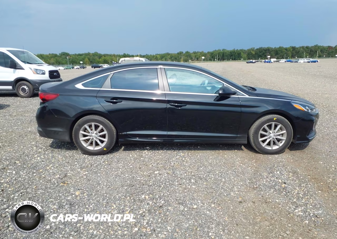 2018 Hyundai Sonata Eco VIN:5NPE24AA4JH691696 - 13