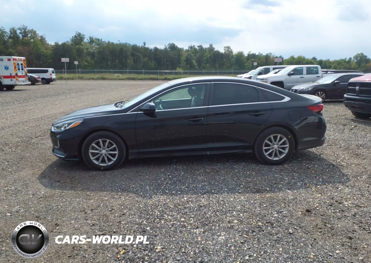2018 Hyundai Sonata Eco VIN:5NPE24AA4JH691696 - 14