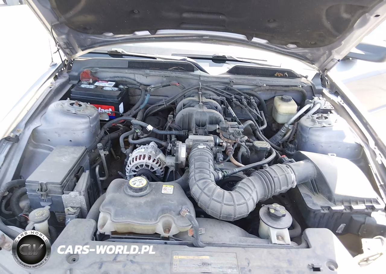 2007 Ford Mustang V6 Deluxe-V6 Premium VIN:1ZVFT80N475246670 - 10