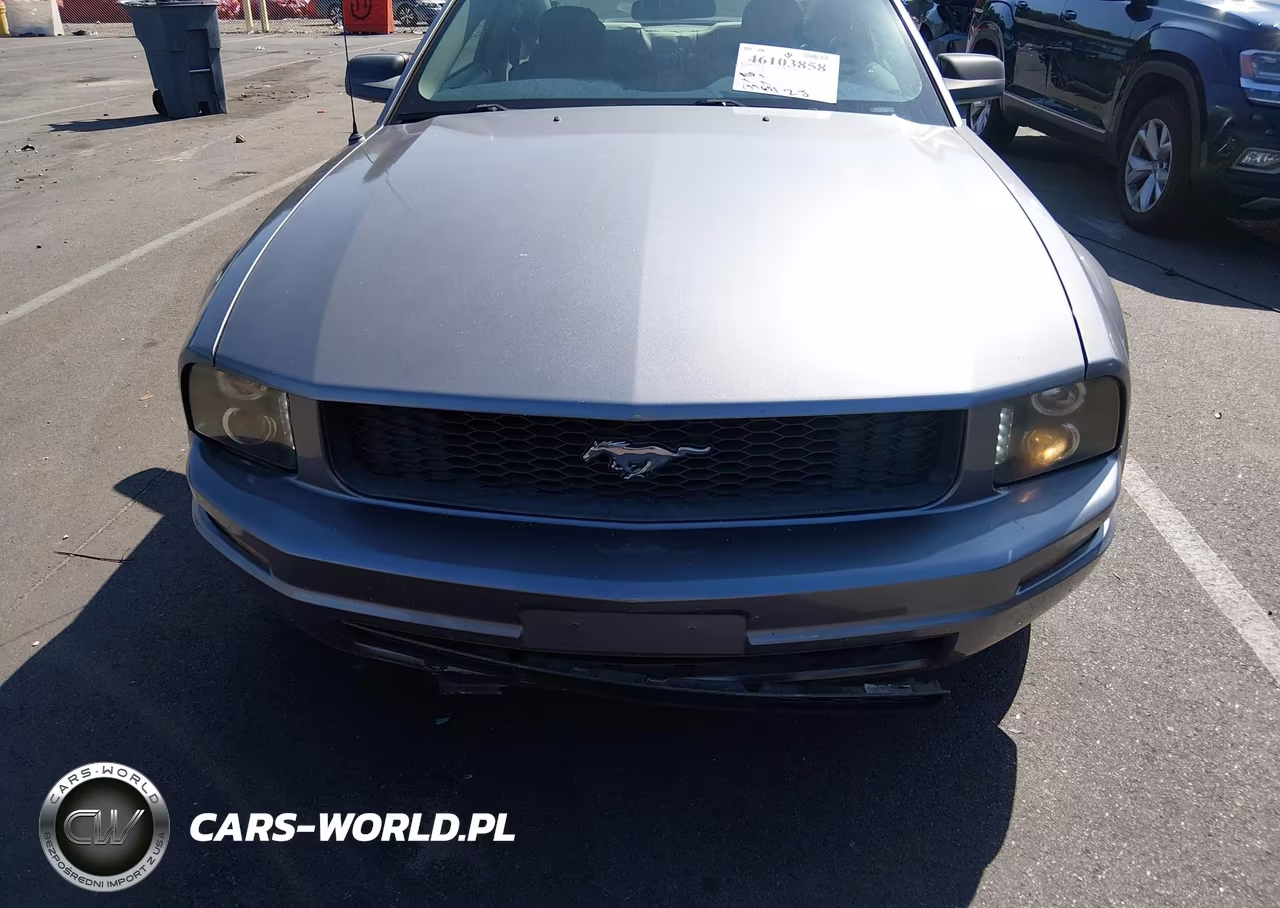 2007 Ford Mustang V6 Deluxe-V6 Premium VIN:1ZVFT80N475246670 - 6