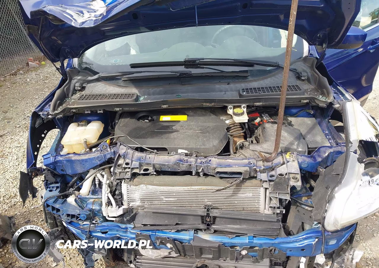 2016 Ford Escape Se VIN:1FMCU0GX8GUC39072 - 10