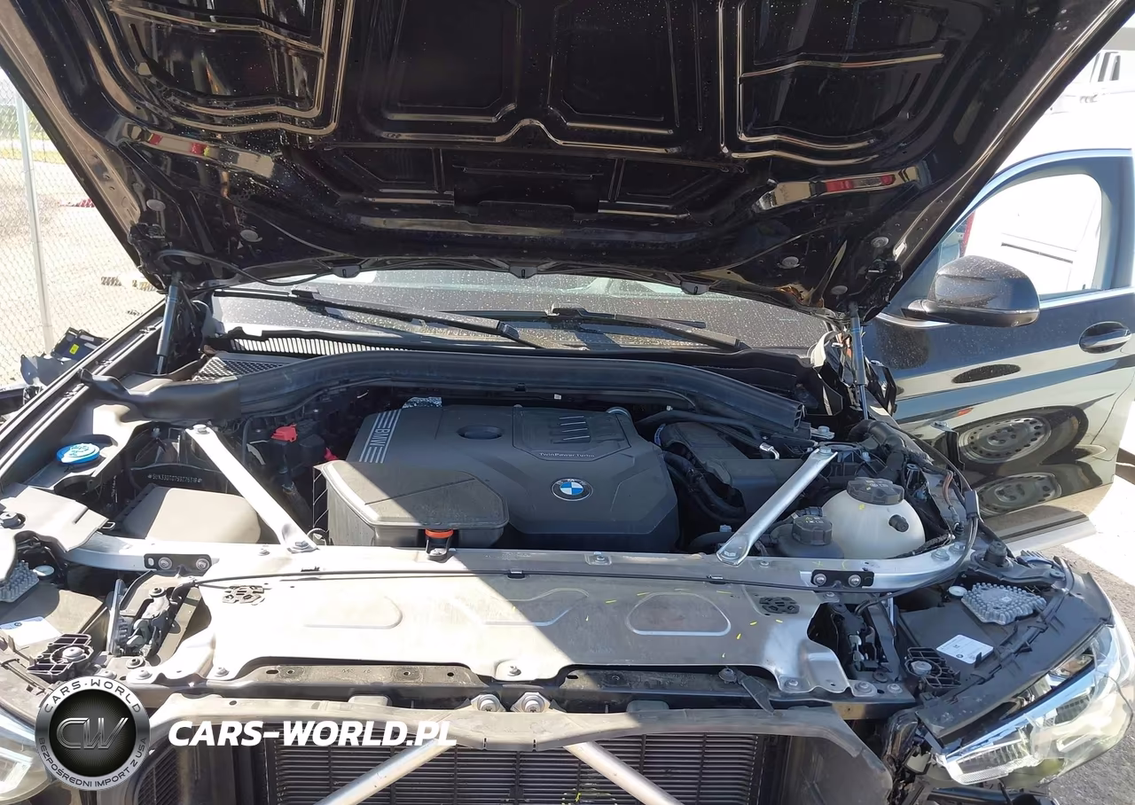 2025 BMW X4 xDrive30I VIN:5UX33DT07S9Z26318 - 10