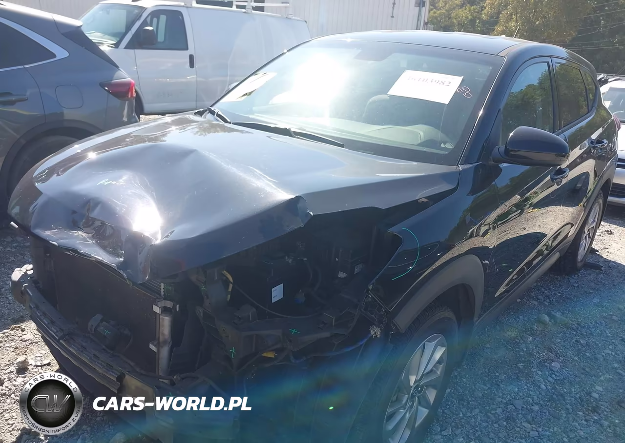 2018 Hyundai Tucson Se VIN:KM8J23A41JU786902 - 2