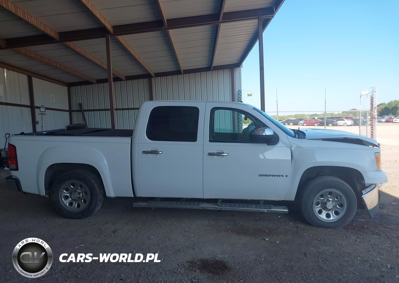 2009 GMC Sierra C1500 Sle VIN:3GTEC23J49G237161 - 13