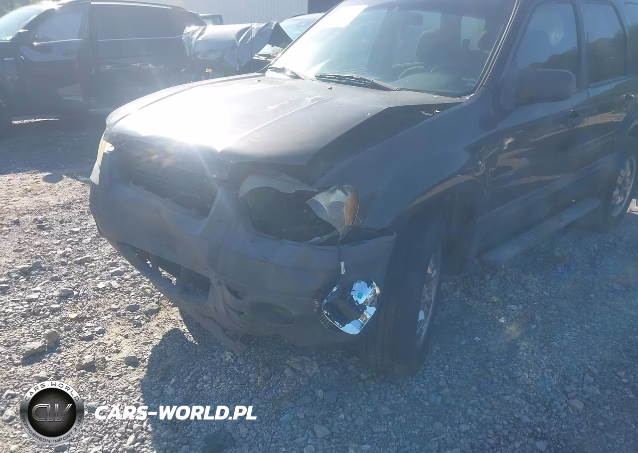 2006 Ford Escape Xls-Xls Manual VIN:1FMYU02ZX6KC63091 - 6