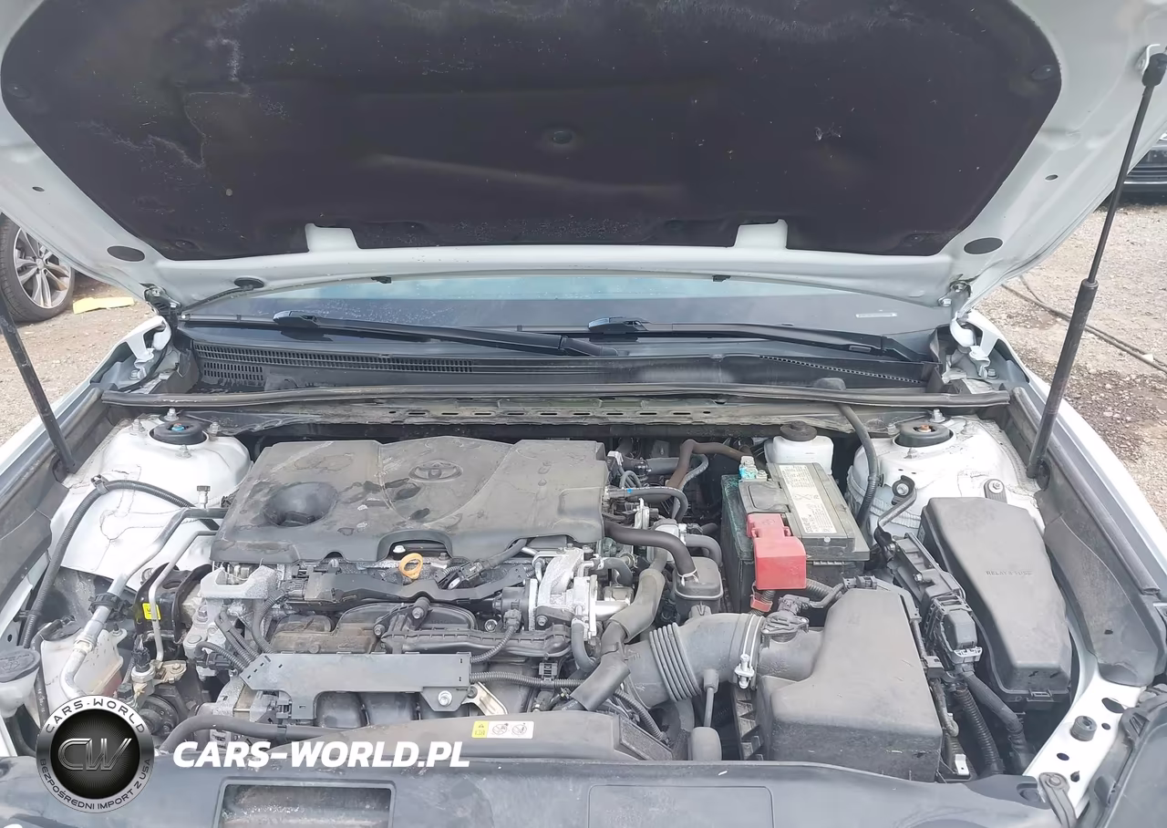 2019 Toyota Camry Xse VIN:4T1B61HK0KU224587 - 10