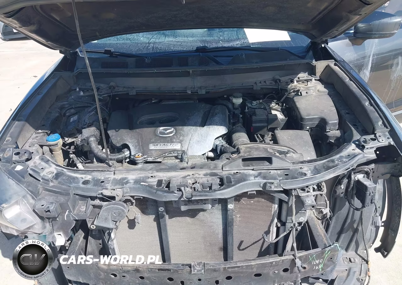 2016 Mazda Cx-9 Touring VIN:JM3TCACY2G0126339 - 10