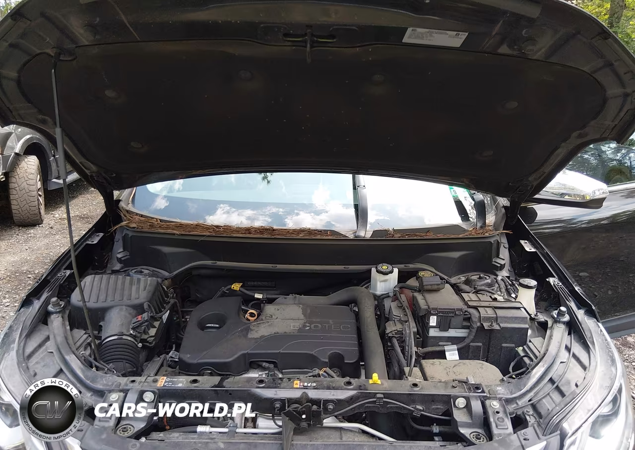 2019 Chevrolet Equinox Premier VIN:2GNAXNEV9K6140857 - 10