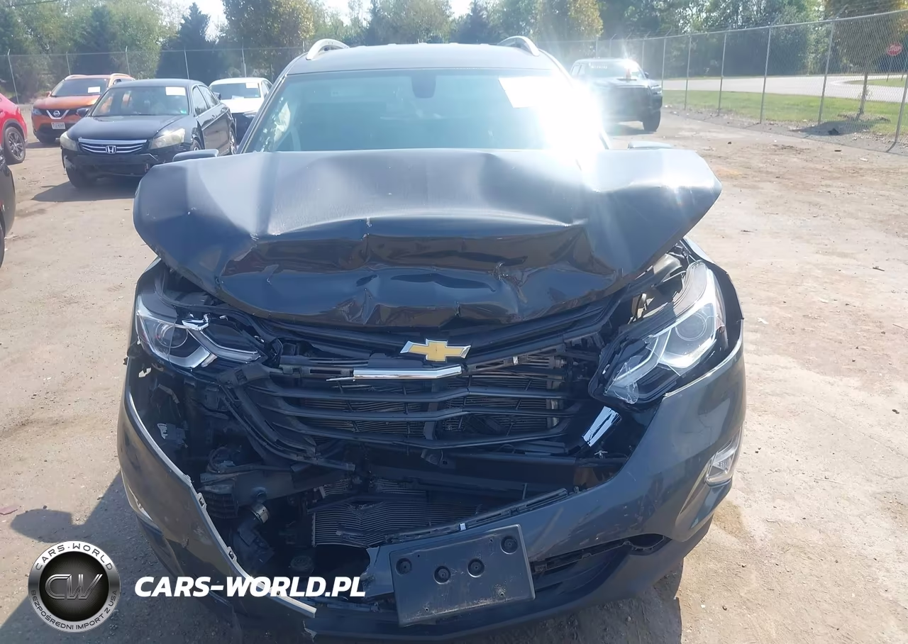 2019 Chevrolet Equinox Lt VIN:2GNAXVEX5K6107940 - 12