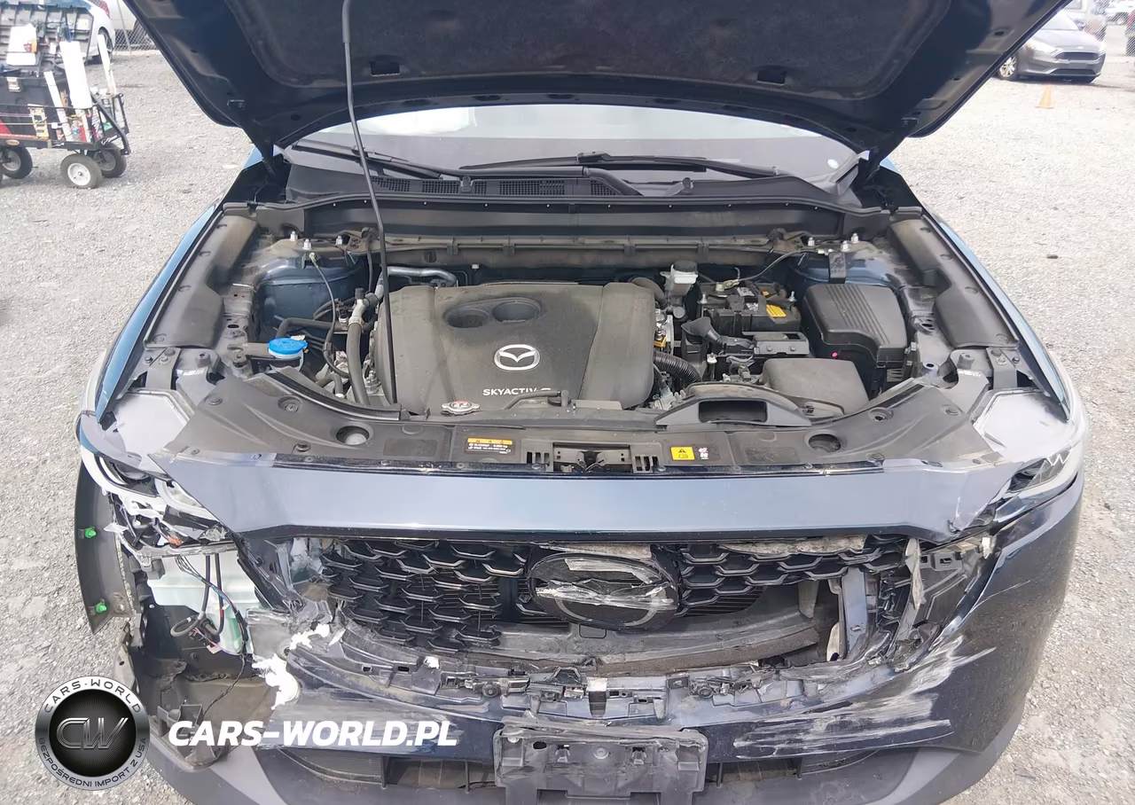 2022 Mazda Cx-5 2.5 S Premium Plus VIN:JM3KFBEM5N0558262 - 10