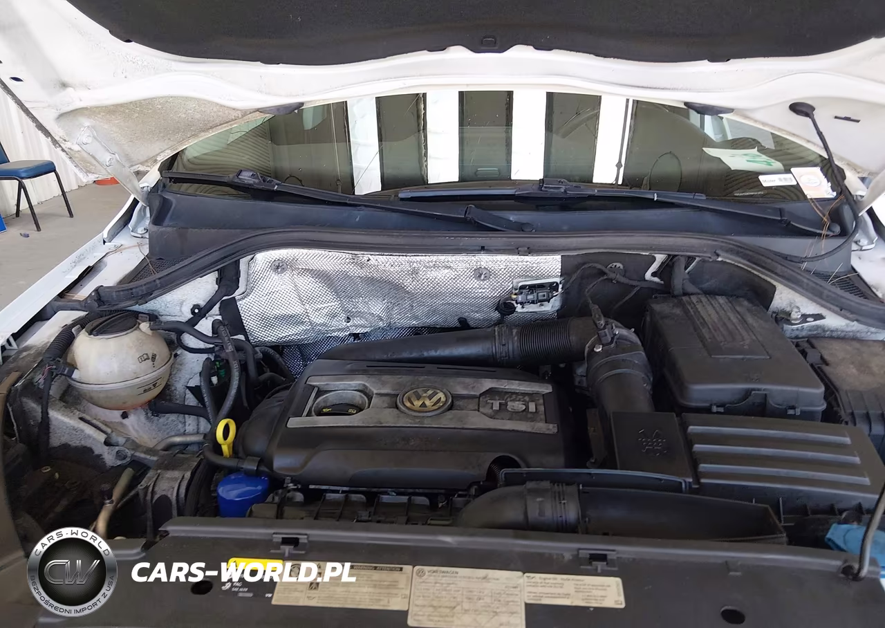 2017 Volkswagen Tiguan 2.0T-2.0T S VIN:WVGAV7AX7HK041974 - 10