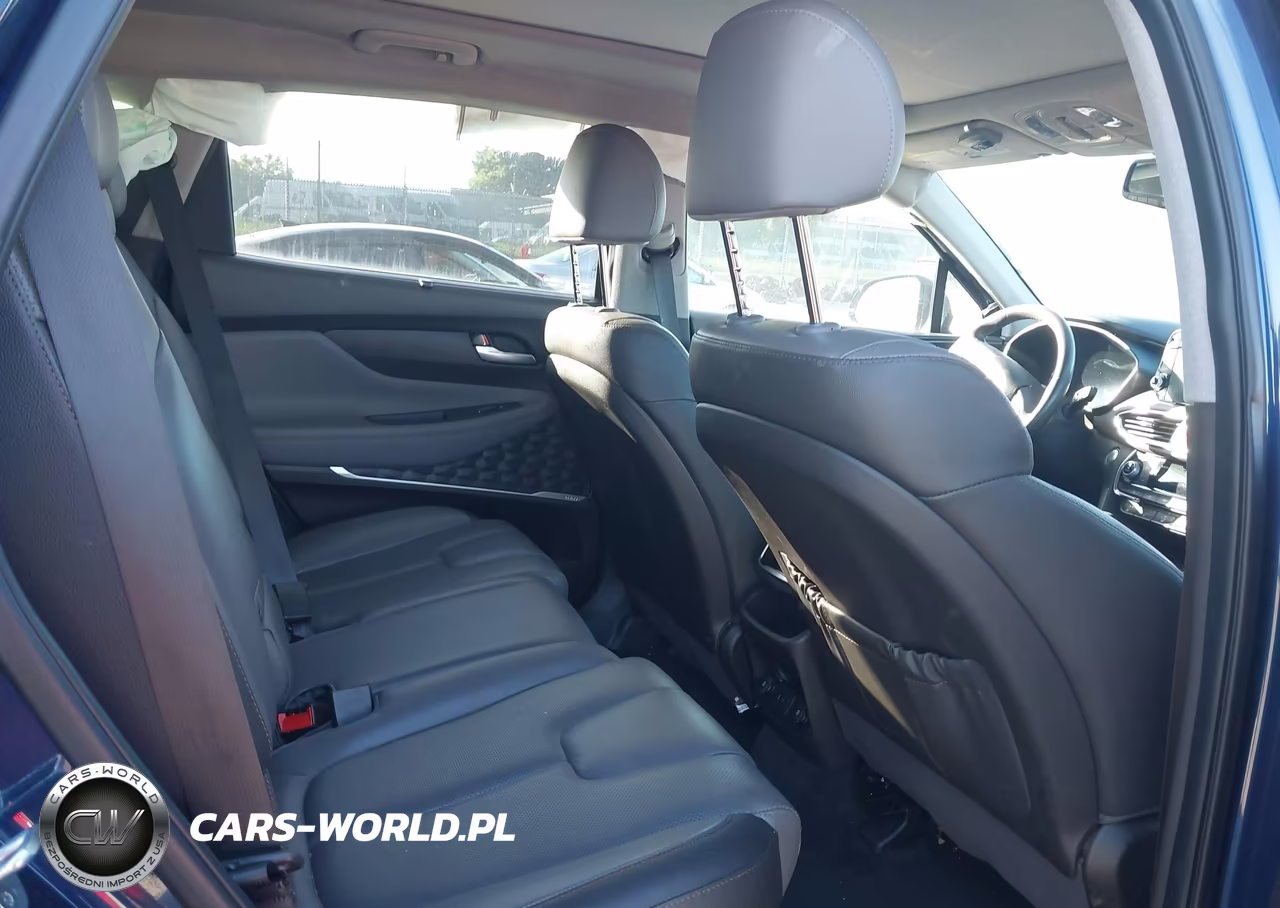 2020 Hyundai Santa Fe Limited VIN:5NMS5CAD5LH277700 - 8