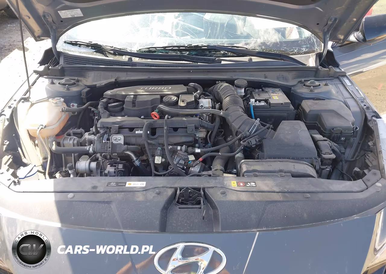 2023 Hyundai Elantra N Line VIN:KMHLR4AF7PU629766 - 10