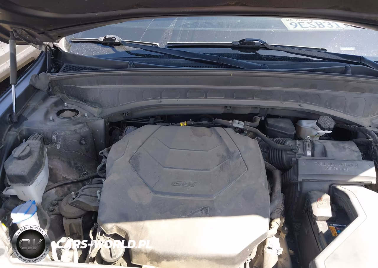 2023 Kia Telluride Ex VIN:5XYP34GC5PG333182 - 10