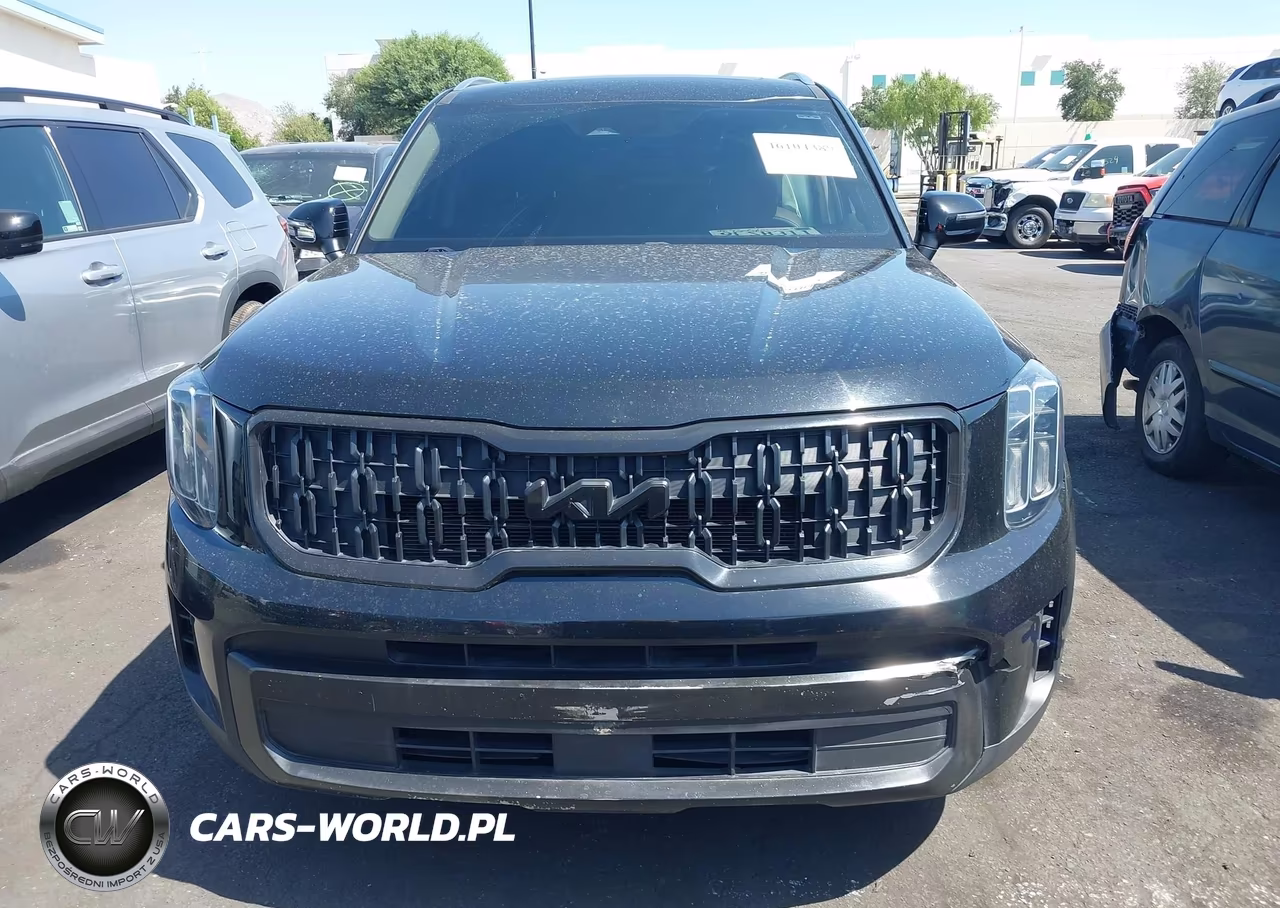 2023 Kia Telluride Ex VIN:5XYP34GC5PG333182 - 12
