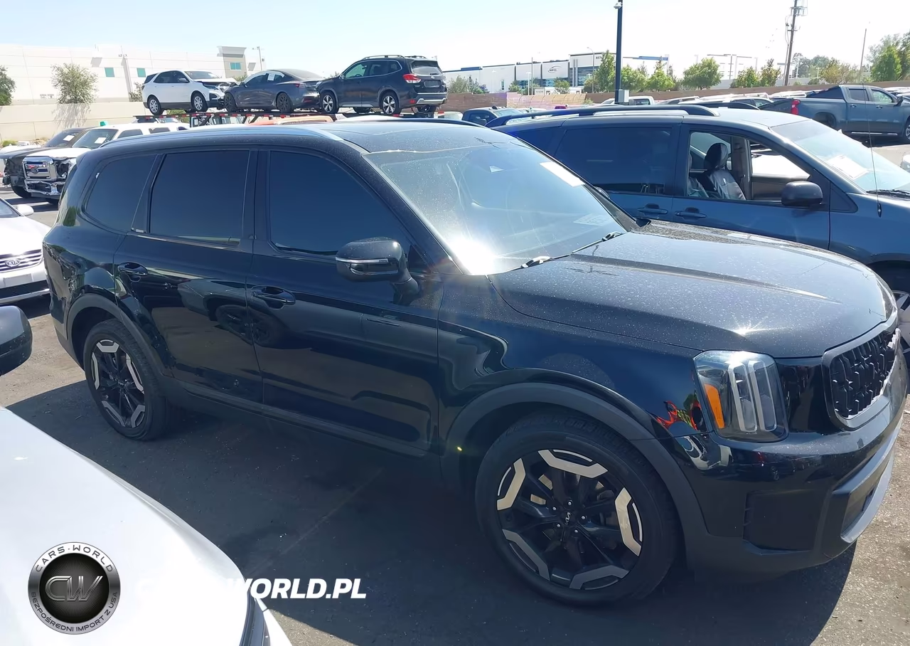2023 Kia Telluride Ex VIN:5XYP34GC5PG333182 - 13