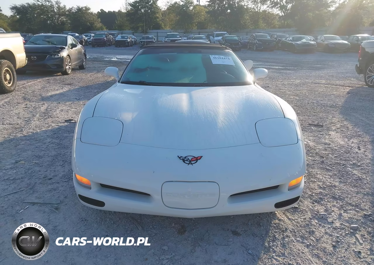 2002 Chevrolet Corvette VIN:1G1YY32G825135216 - 12