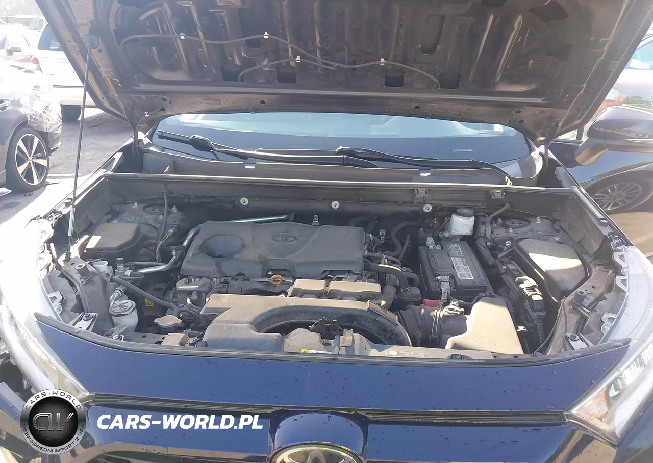 2019 Toyota Rav4 Xle VIN:2T3P1RFV6KC007019 - 10