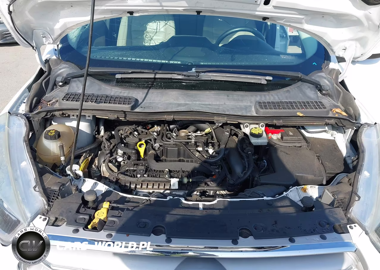 2019 Ford Escape Sel VIN:1FMCU9HD7KUA65710 - 10