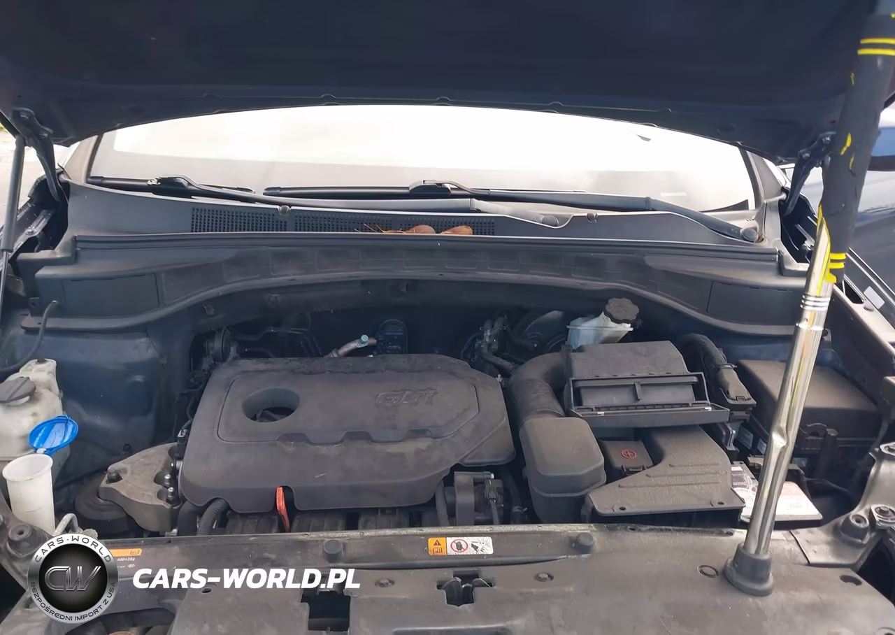 2017 Hyundai Santa Fe Sport 2.4L VIN:5XYZT3LB9HG435957 - 10