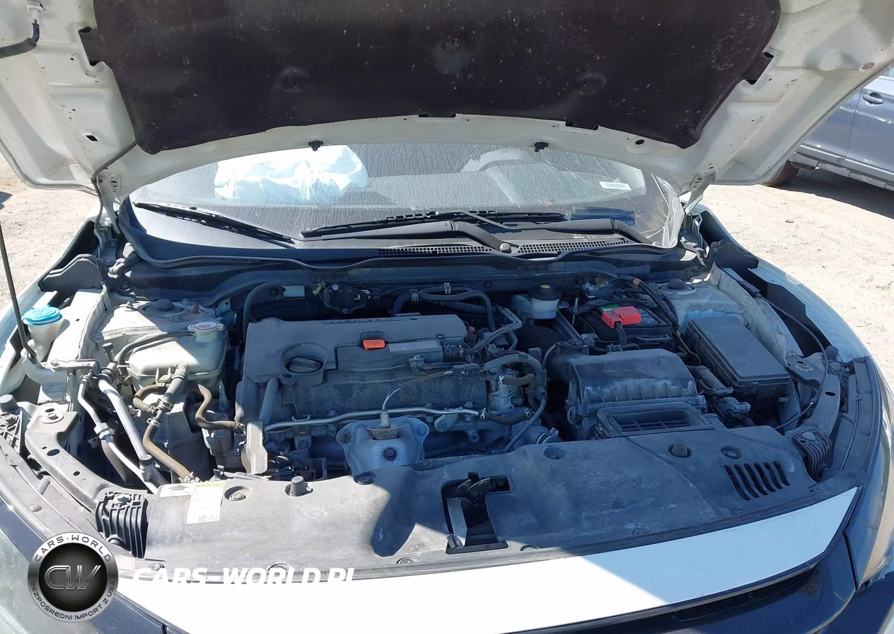 2019 Honda Civic Sport VIN:2HGFC2F80KH537493 - 10