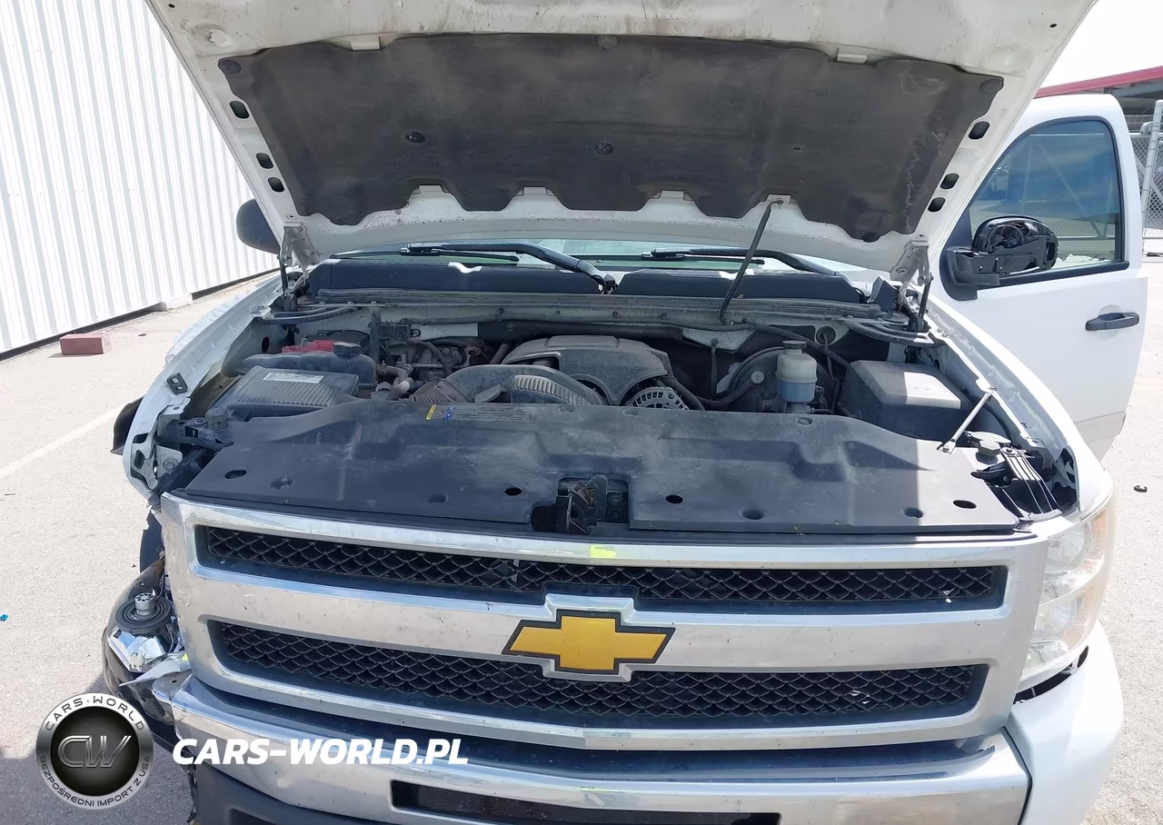 2009 Chevrolet Silverado 1500 Lt VIN:1GCEK290X9Z148941 - 10