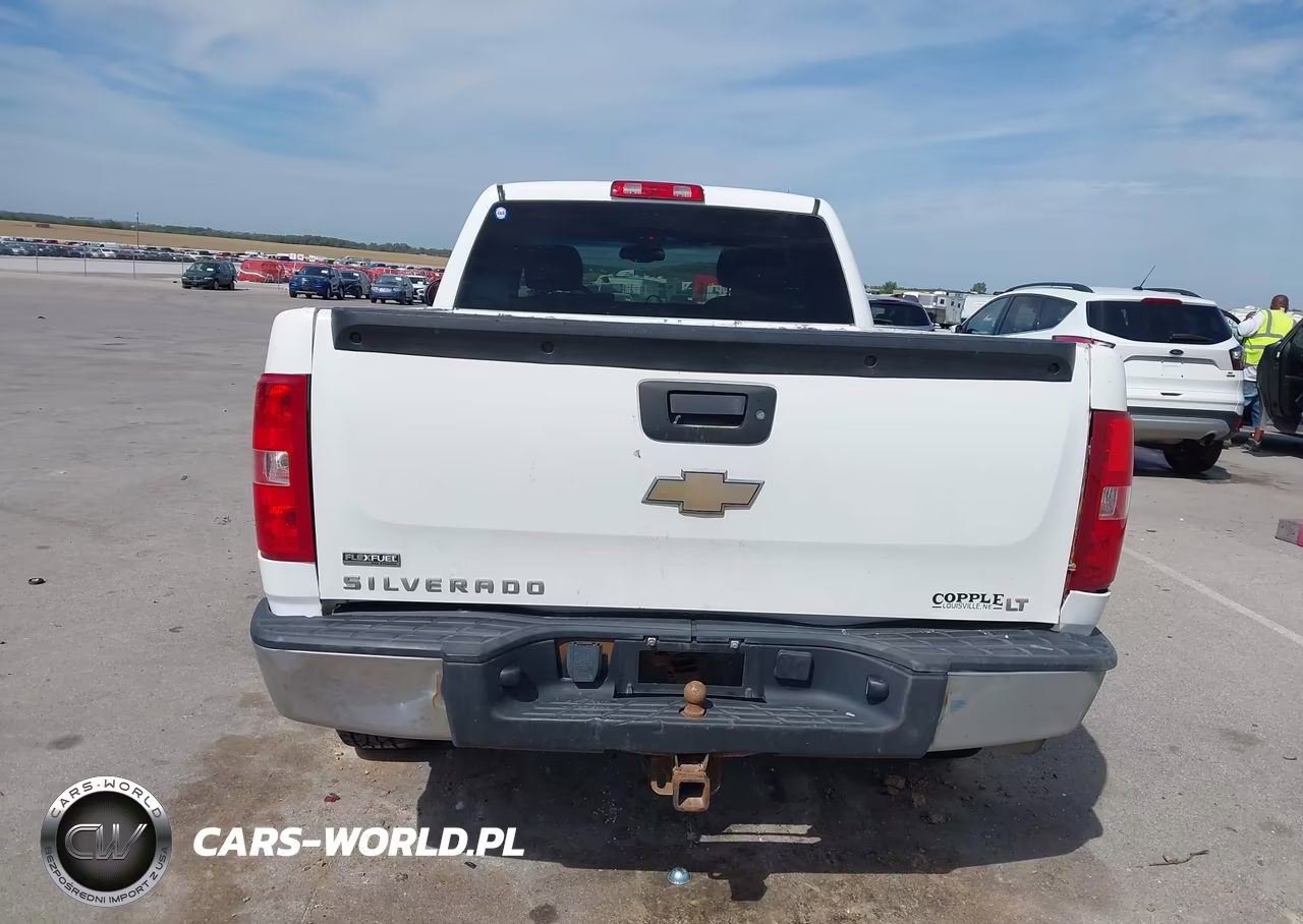 2009 Chevrolet Silverado 1500 Lt VIN:1GCEK290X9Z148941 - 17