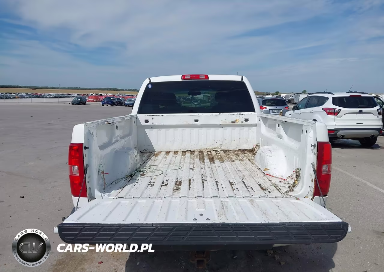 2009 Chevrolet Silverado 1500 Lt VIN:1GCEK290X9Z148941 - 18