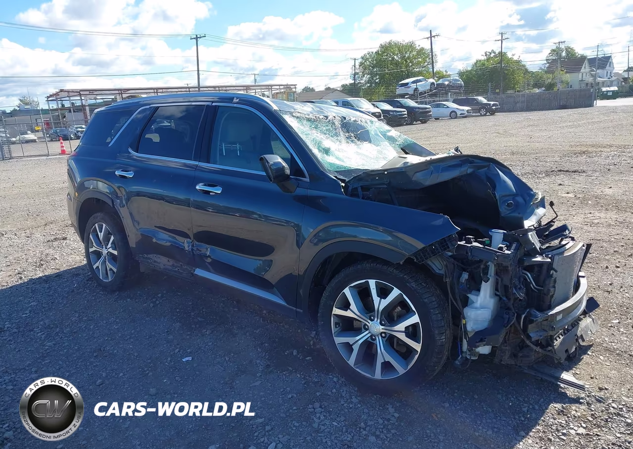 2020 Hyundai Palisade Sel