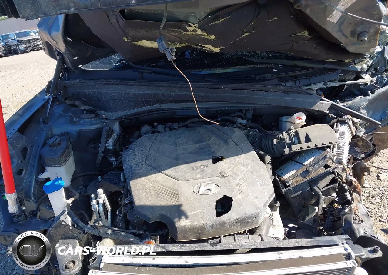 2020 Hyundai Palisade Sel VIN:KM8R3DHE7LU090844 - 10