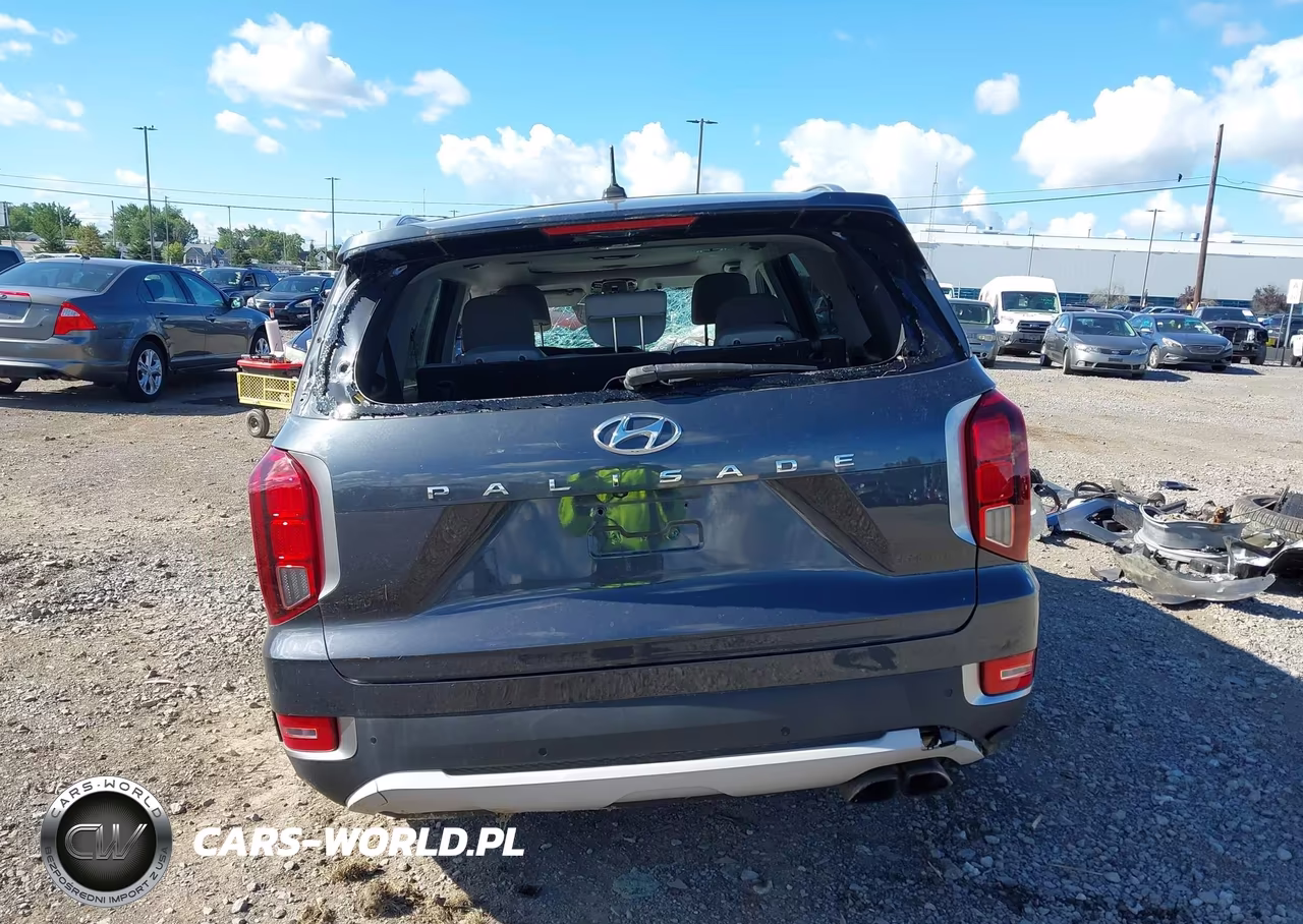 2020 Hyundai Palisade Sel VIN:KM8R3DHE7LU090844 - 17