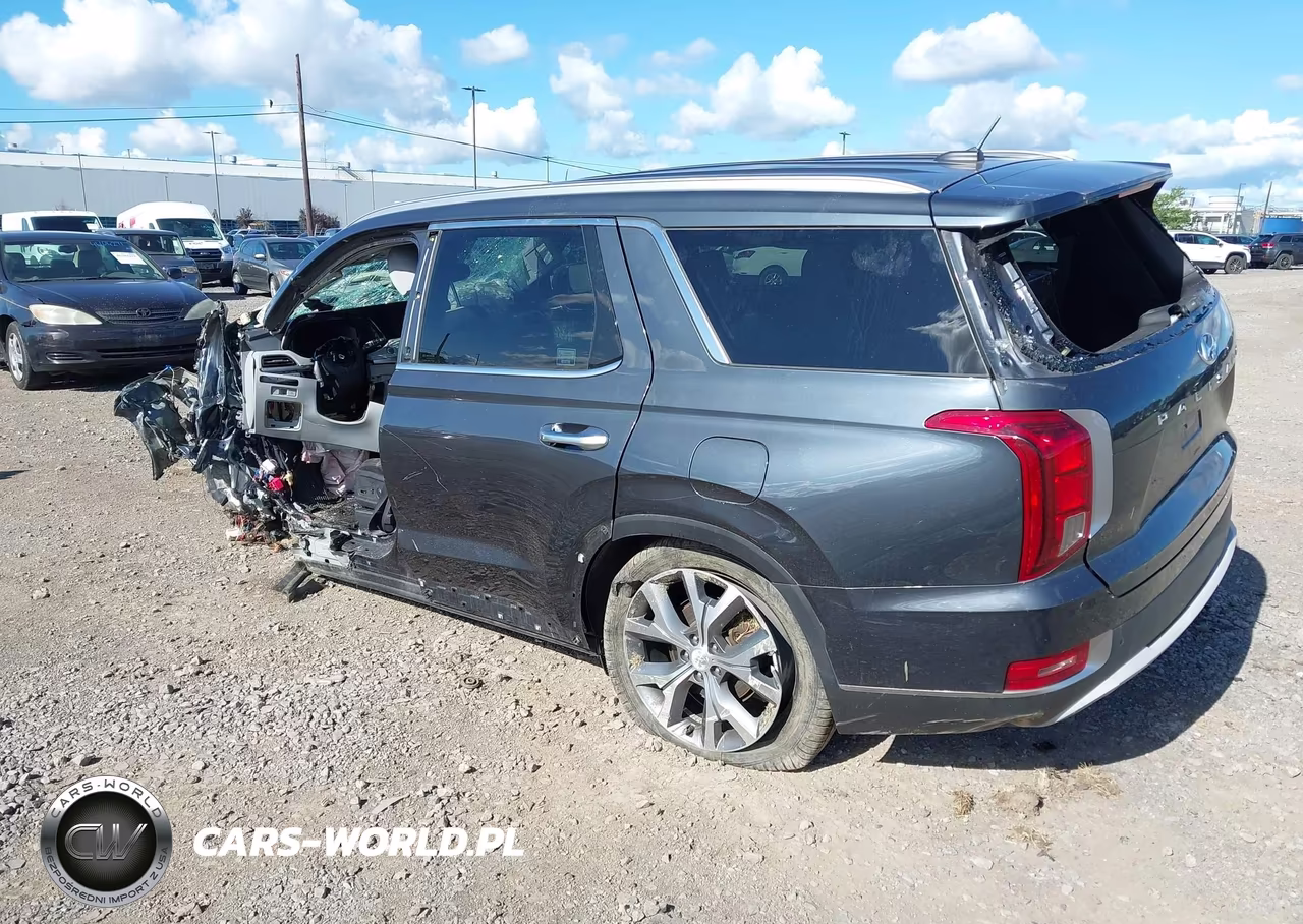 2020 Hyundai Palisade Sel VIN:KM8R3DHE7LU090844 - 3