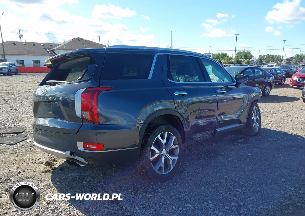 2020 Hyundai Palisade Sel VIN:KM8R3DHE7LU090844 - 4