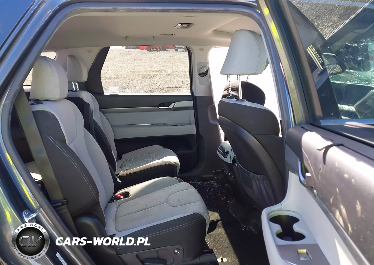 2020 Hyundai Palisade Sel VIN:KM8R3DHE7LU090844 - 8
