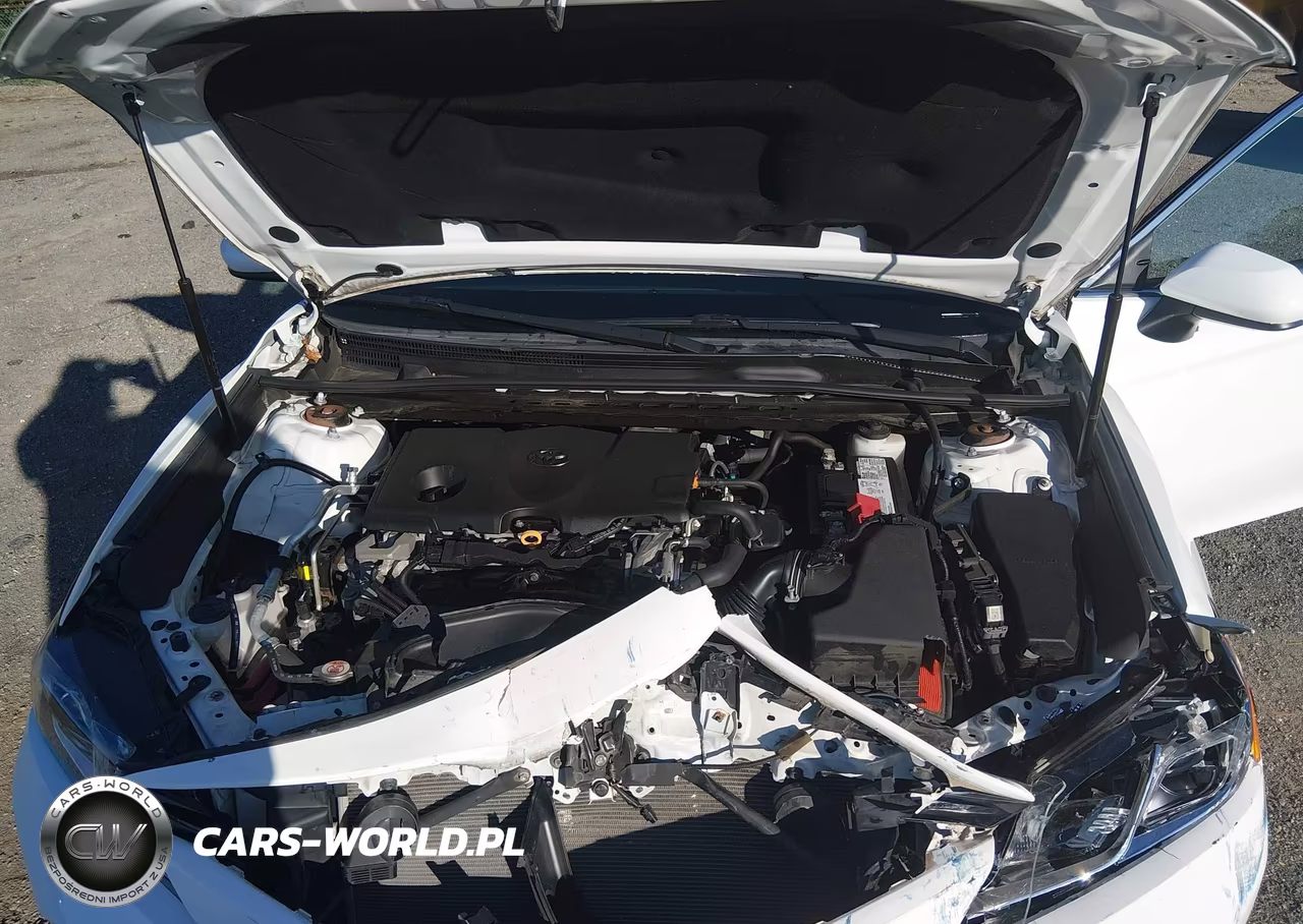 2020 Toyota Camry Le VIN:4T1C11AK6LU885362 - 10