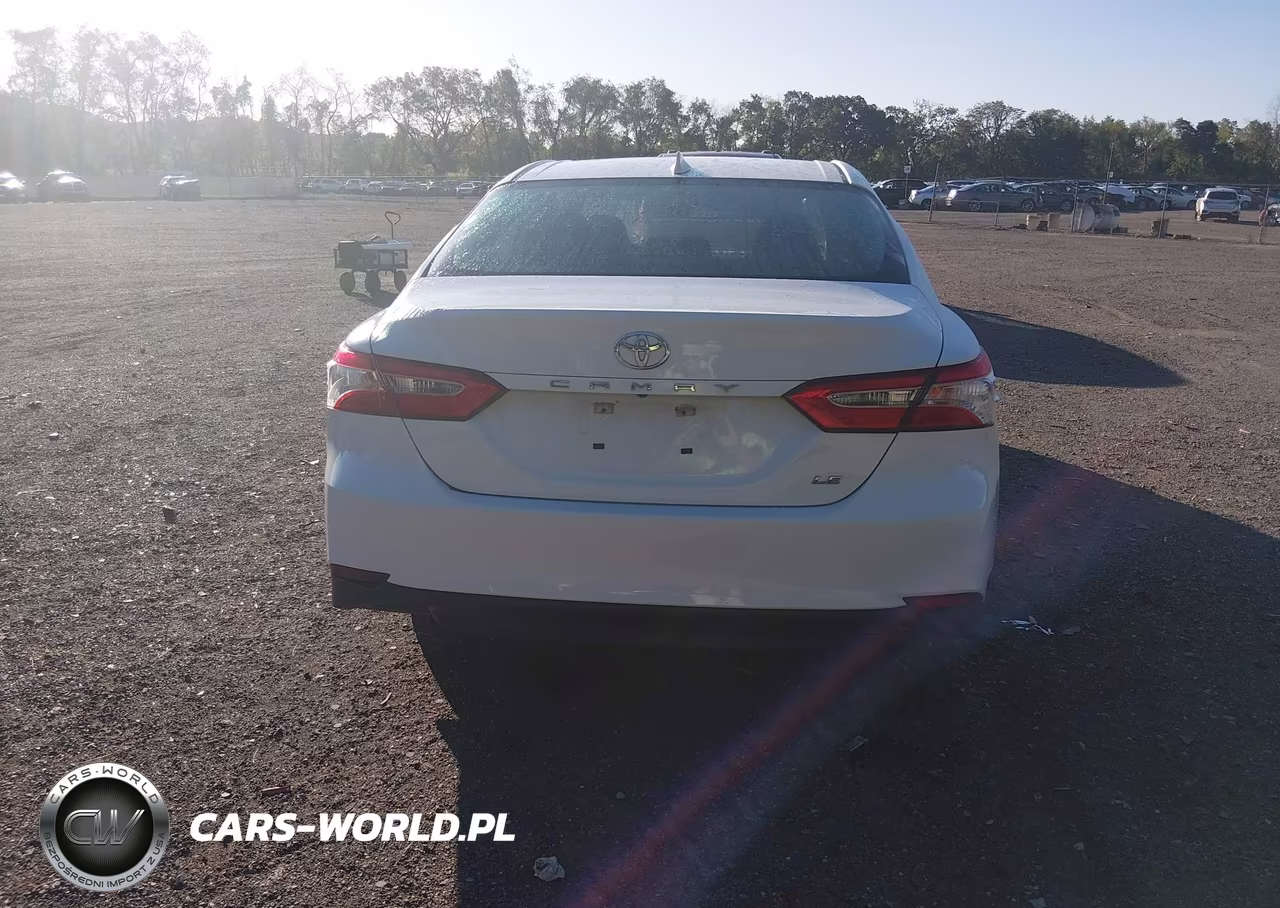 2020 Toyota Camry Le VIN:4T1C11AK6LU885362 - 17