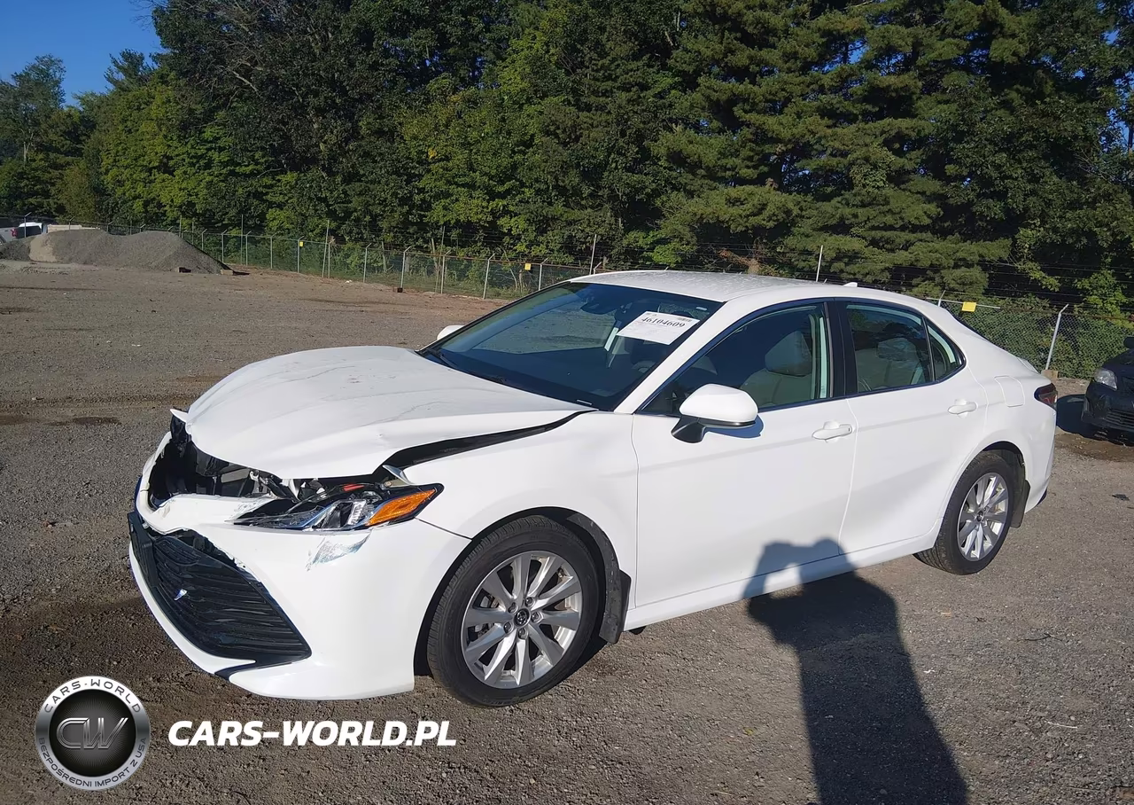 2020 Toyota Camry Le VIN:4T1C11AK6LU885362 - 2