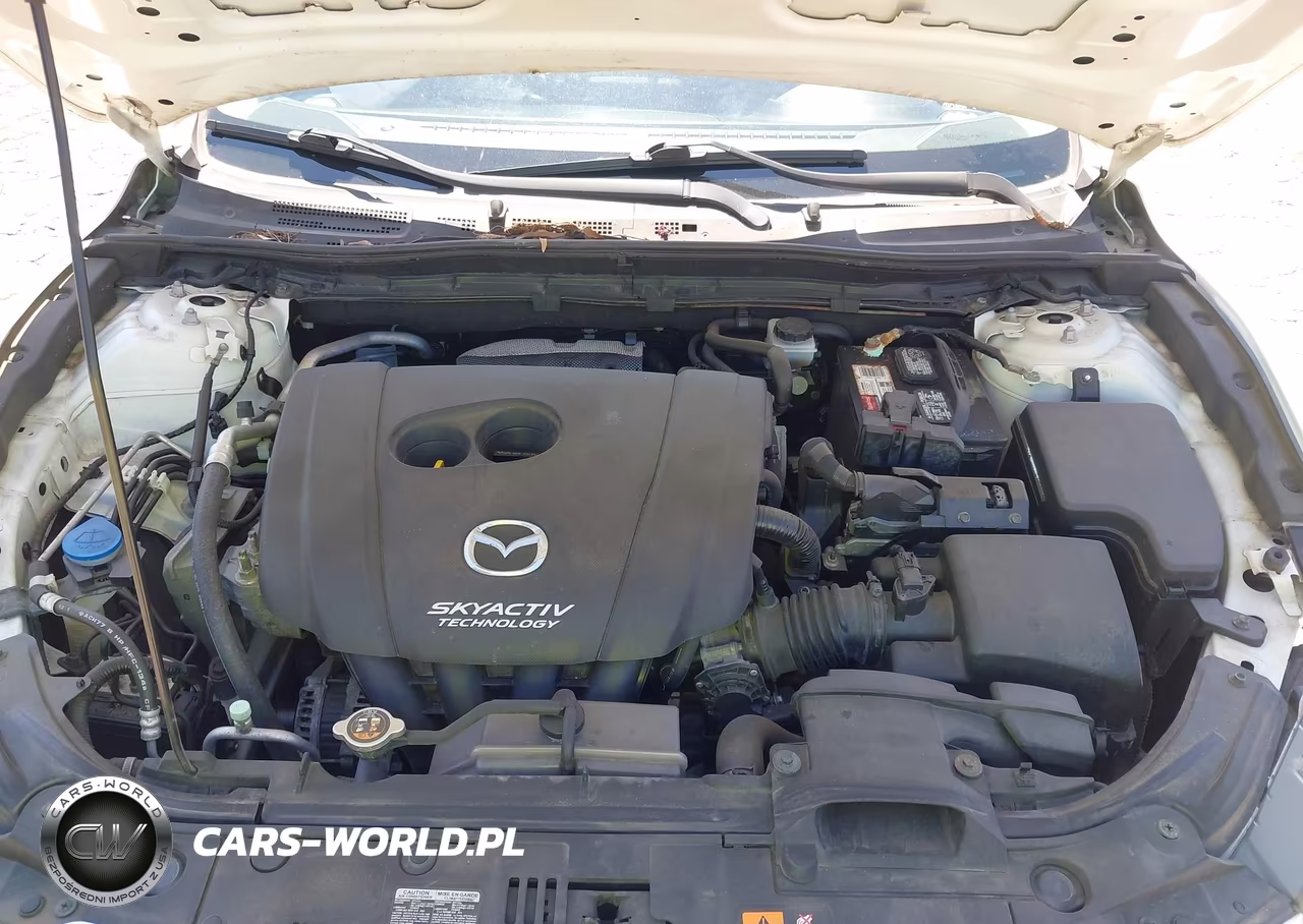 2014 Mazda Mazda3 I Touring VIN:JM1BM1L75E1100995 - 10