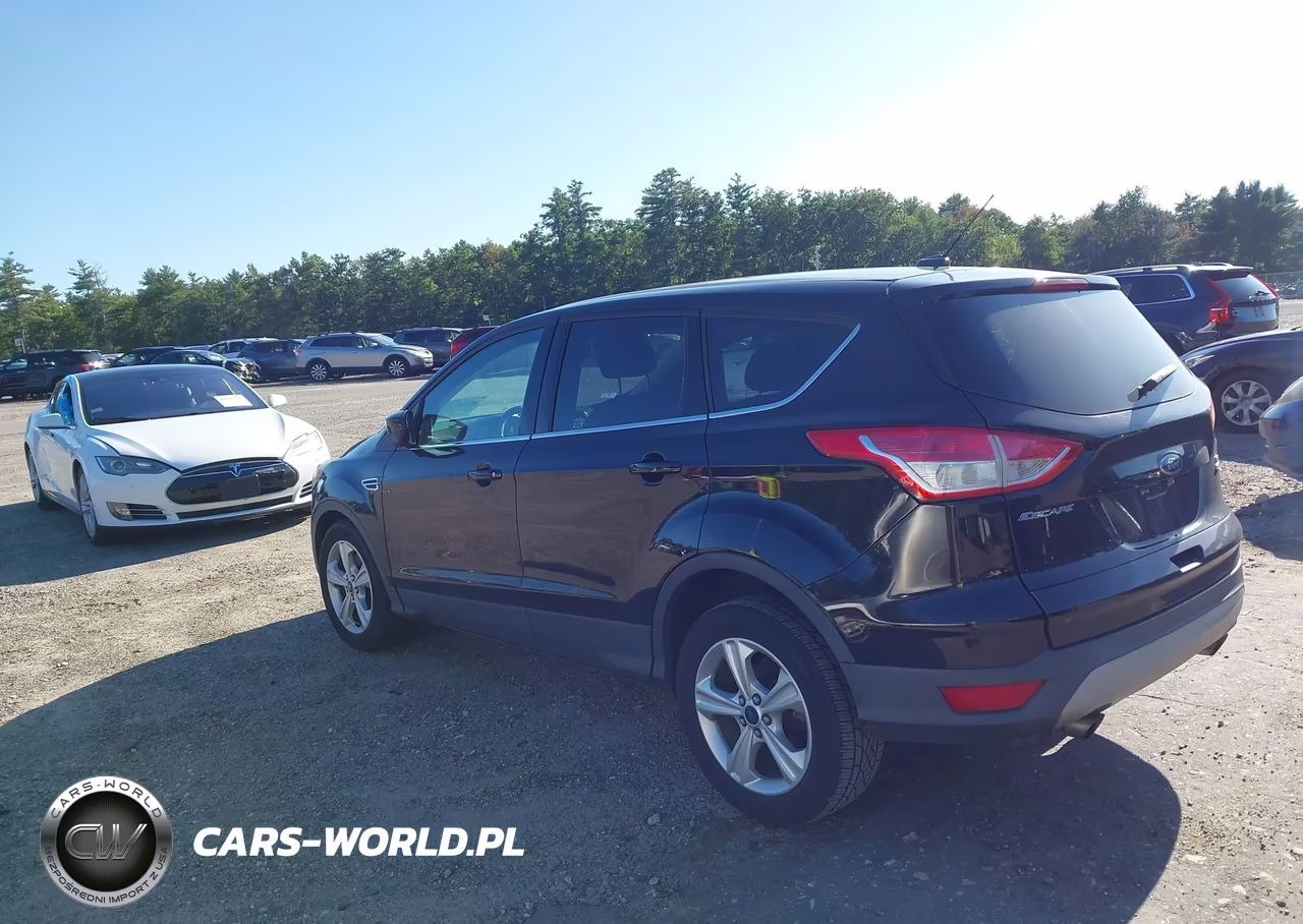2016 Ford Escape Se VIN:1FMCU9GX7GUB75319 - 3