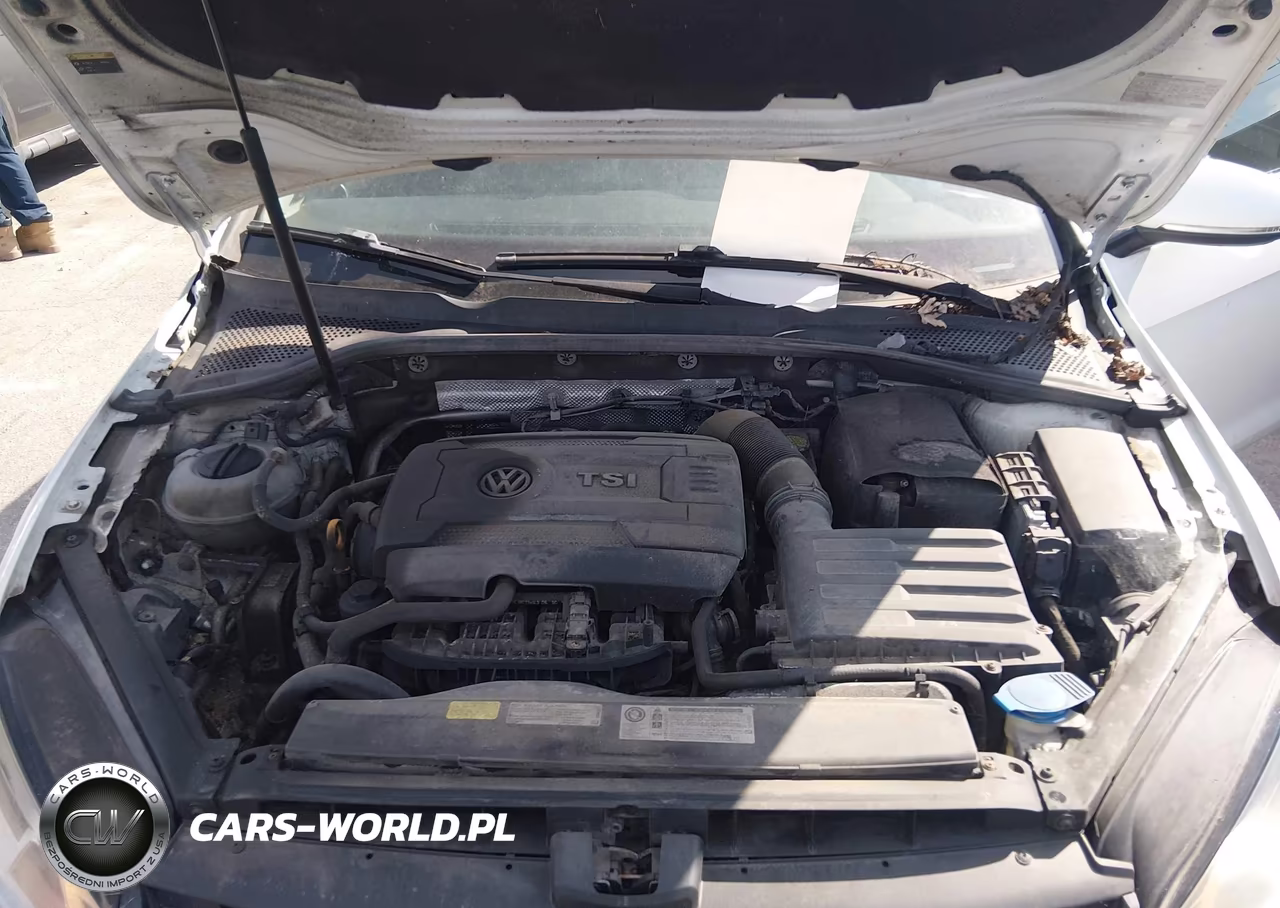 2015 Volkswagen Golf Tsi Se 4-Door VIN:3VW217AU5FM062108 - 10
