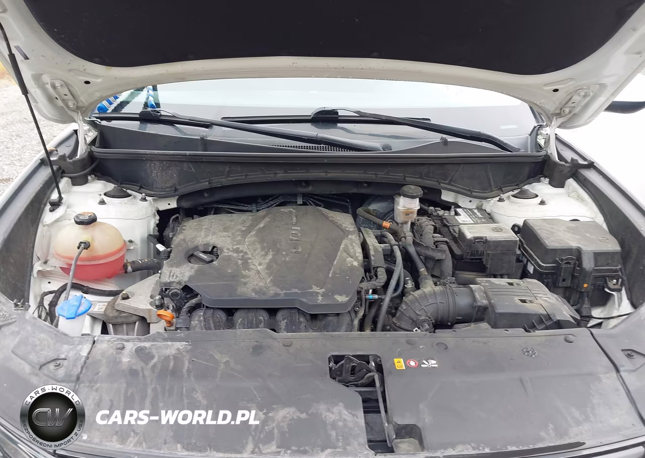 2024 Hyundai Tucson Sel VIN:5NMJBCDE8RH336546 - 10