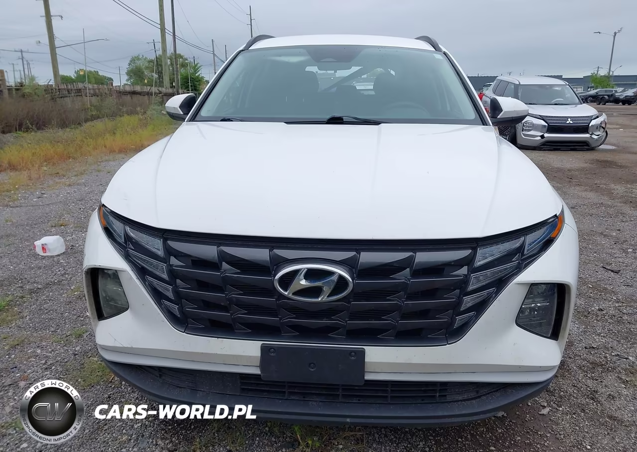 2024 Hyundai Tucson Sel VIN:5NMJBCDE8RH336546 - 12