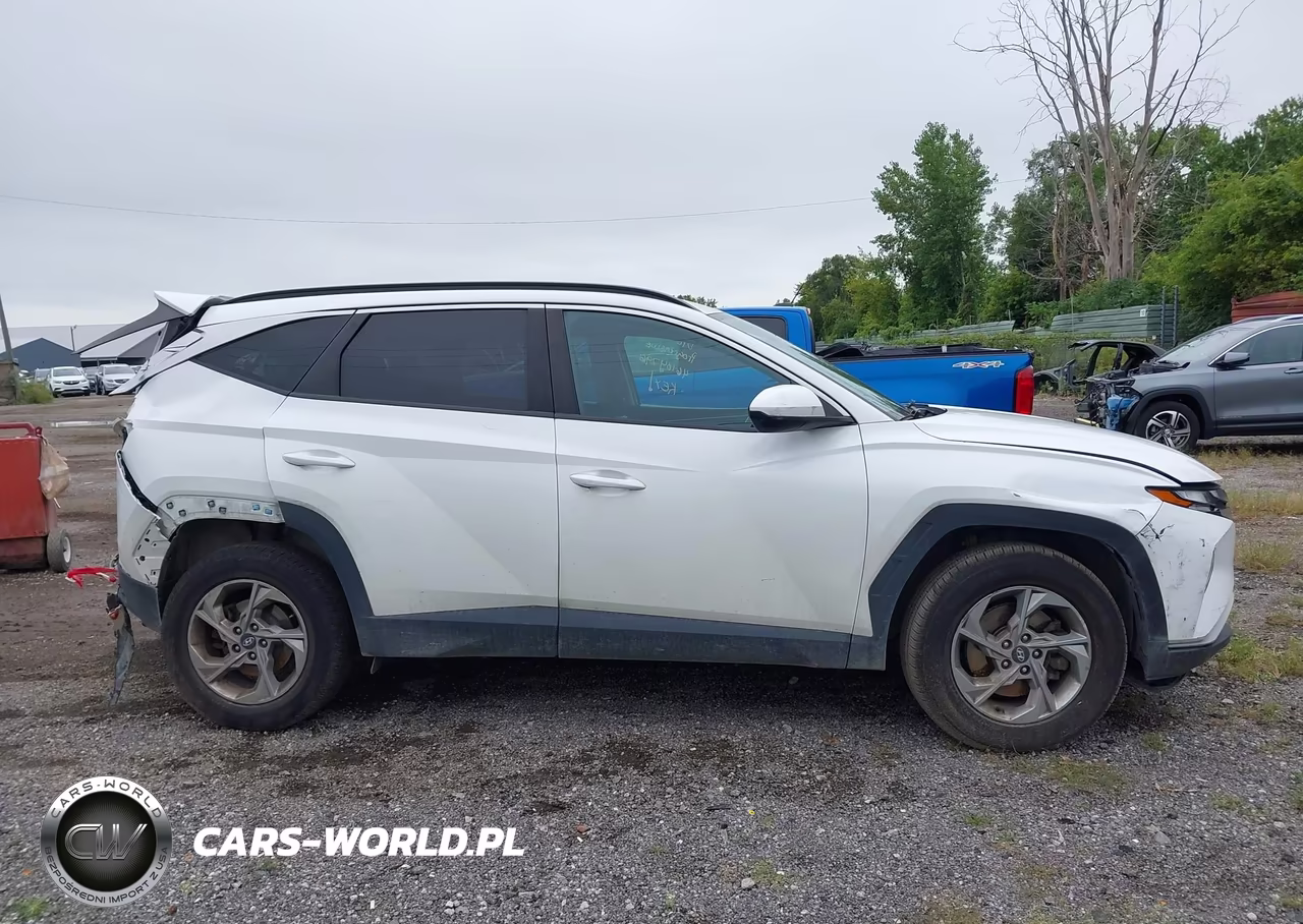 2024 Hyundai Tucson Sel VIN:5NMJBCDE8RH336546 - 13
